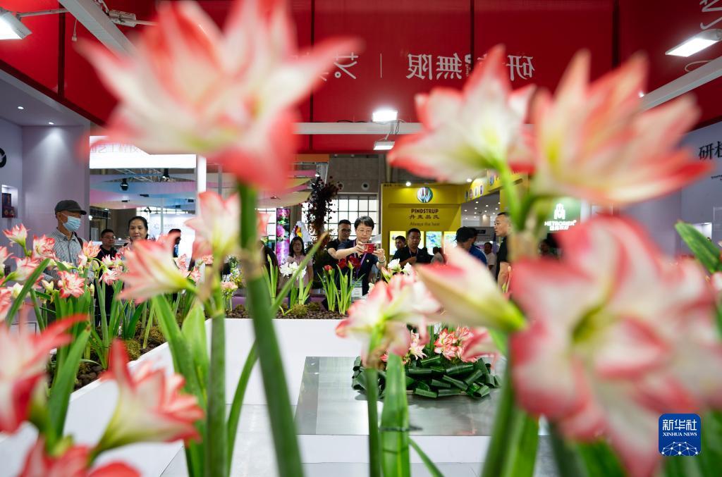 新匍京在线登陆
